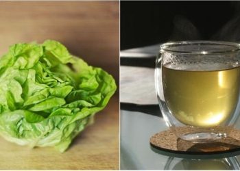 Té de lechuga: la infusión natural que podría mejorar el sueño, desinflamar el cuerpo y favorecer el bienestar general
