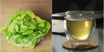 Té de lechuga: la infusión natural que podría mejorar el sueño, desinflamar el cuerpo y favorecer el bienestar general